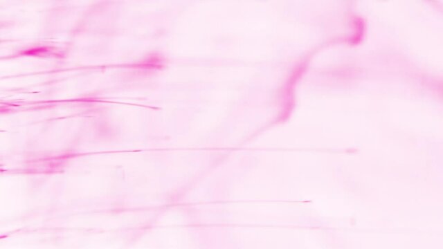 Colorful dynamic abstract background. Potassium permanganate crystals in the water. Macro shot. Colors particles falling in water. Chemical reaction. Chromatic aberration.