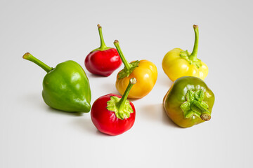 Hot capsicum of the Red cherry variety