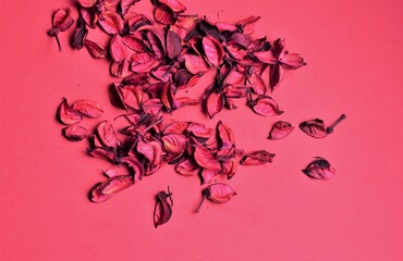 Pink background with dry leaves