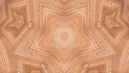 Abstract kaleidoscope background. Beautiful multicolor kaleidoscope texture. Unique kaleidoscope design.