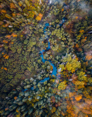 River flows through forest in misty morning. Aerial view over colorful trees in autumn makes a vibrant landscape. 