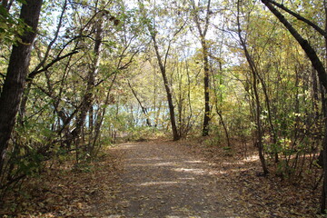 Autumn Down The Trail, Gold Bar Park, Edmonton, Alberta