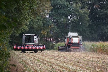Fototapeta premium Zwei Maishäcksler bei der Arbeit auf einem Feld, Landwirtschaft