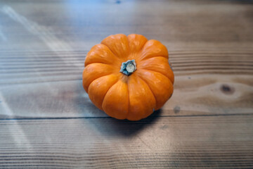 Decaorative, orange colored mini Halloween pumpkin on varnished solid wood background under natural sunlight in October just before the festive holiday