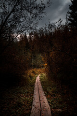 Obraz premium Wooden boardwalk in a forest during autumn with fallen leaves on the ground