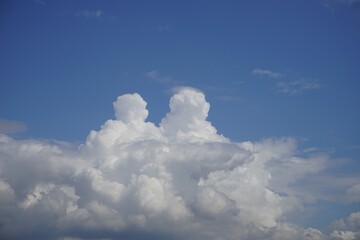 Naklejka na ściany i meble white unusual shaped clouds float across the blue sky