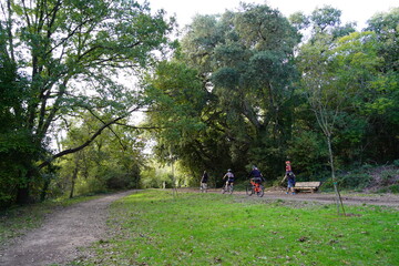 Three cyclists ride along the path in Vaugrenier Park, followed by a man with a child on his shoulders.