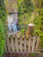 View over a wooden fance into a green, wild little garden.