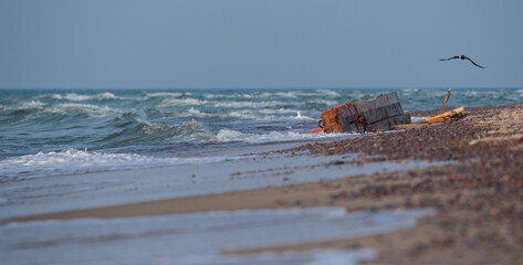 A piece of wood washed up on the beach.