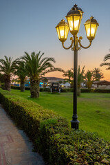 Seaside sunset scene with street lamps and palm tree.