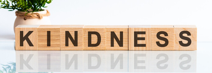 Word KINDNESS made with wood building blocks,stock image
