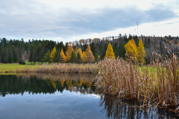 Lake with fall colors in Canadian forest, Quebec