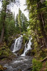 Fototapeta na wymiar National Creek Falls in Southern Oregon Cascades