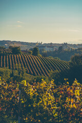 costigliole d'asti, piedmont, italy, monferrato town during fall season. barbera wine area