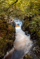 a smooth waterfall pouring down a stream thought the mossy rocks under the autumn coloured trees 