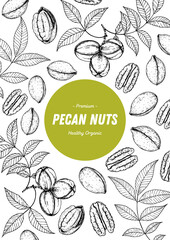 Pecan nuts hand drawn sketch. Nuts vector illustration. Organic healthy food. Great for packaging design. Engraved style. Black and white color.