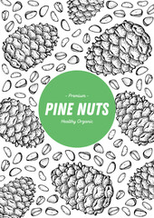 Pine nuts hand drawn sketch. Nuts vector illustration. Organic healthy food. Great for packaging design. Engraved style. Black and white color.