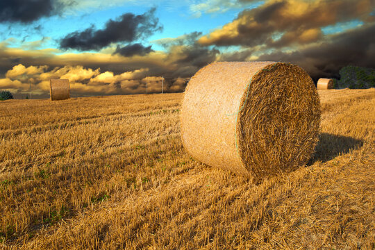 Hay bales in a meadow in a summer evening sunset