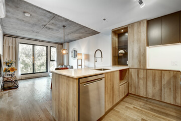 Canadian apartment staged and partially furnished in new building in Griffintown, Montreal area