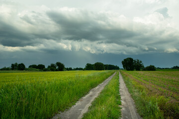 Fototapeta na wymiar Rural road through green fields and rainy clouds on sky