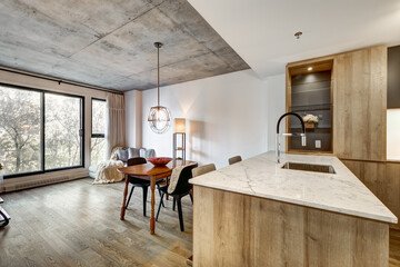 Canadian apartment staged and partially furnished in new building in Griffintown, Montreal area