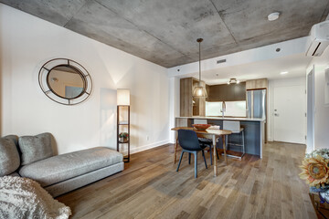 Canadian apartment staged and partially furnished in new building in Griffintown, Montreal area