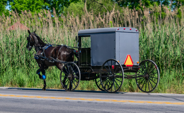 Amish horse and buggy in Lancaster Pennsylvania