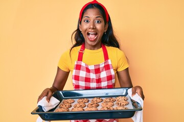 Young indian girl wearing baker uniform holding homemade cookies smiling and laughing hard out loud...