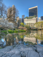 Central Park in spring