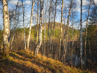 Evening landscape sunset in the mountains in early autumn. Panorama.
