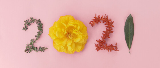 2021 made from natural leaves and flowers on pink background, Happy New Year wellness and healthy lifestyle
