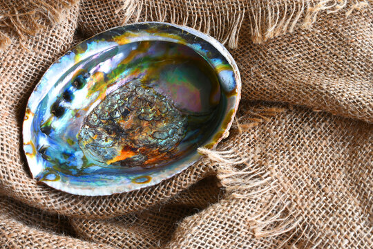 An abstract image of the colors and textures on a abalone shell. 