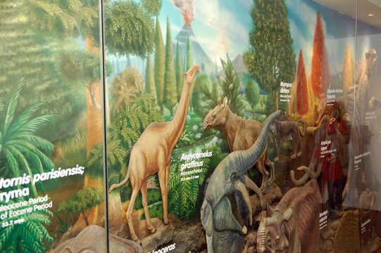 Mind Museum dinosaur pictures in Bonifacio Global City, Taguig, Philippines