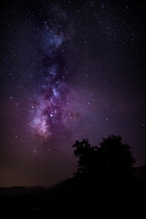 The Milky Way and some trees.