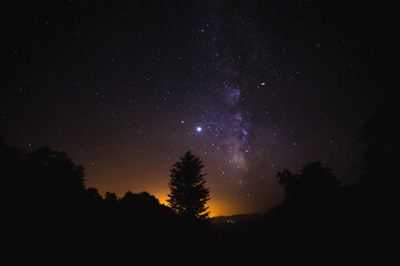 Fototapeta na wymiar The Milky Way and some trees.