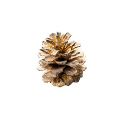 golden painted conifer cone isolated on a white background. pine cone for christmas decoration