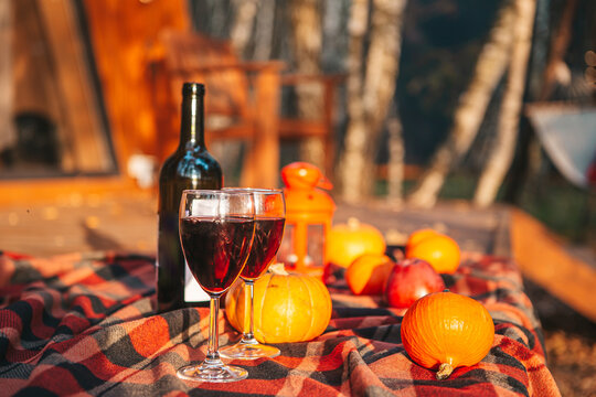 Pumpkins and bottle of red wine with two glasses on the blanket