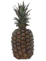 3D Pineapple isolated Background