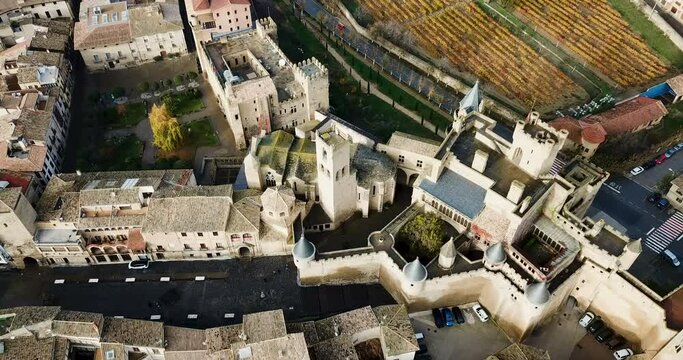 Aerial view of castle Palacio Real de Olite. Navarre. Spain