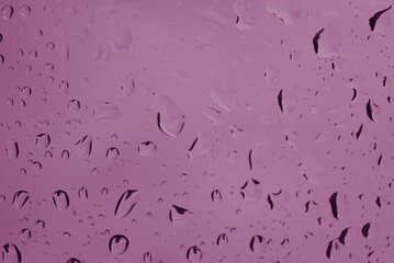 water drops on a pink background