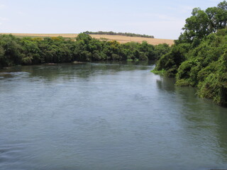 Clear water river, riparian forest and blue sky