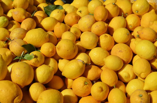 lemons in the market , lemon . lemons , Fruits