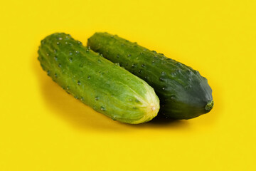 Two fresh cucumbers