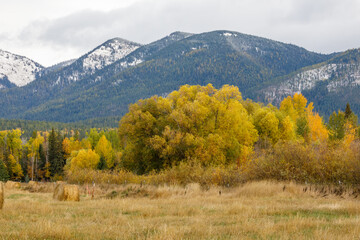 autumn landscape in the mountains, northwestern Montana
