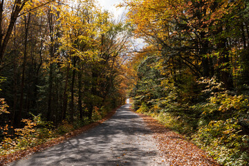 Fall Colours in Muskoka, Canada