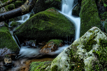 piękny górski wodospad, siła i piękno natury woda kamienie i zieleń - obrazy, fototapety, plakaty