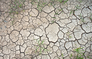 Dry land texture, deep crack. Cracked ground background. Effects of heat and drought. effects of global warming. 