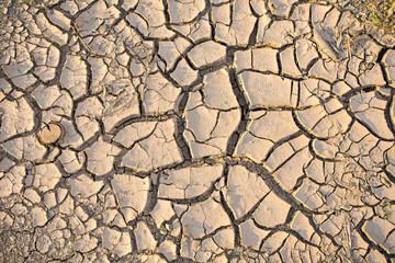 Dry land texture, deep crack. Cracked ground background. Effects of heat and drought. effects of global warming. 