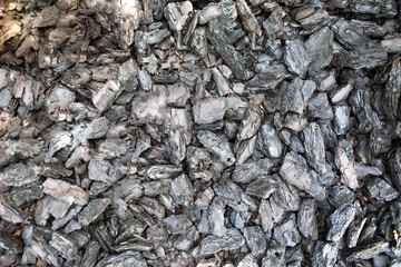 texture of crushed tree bark