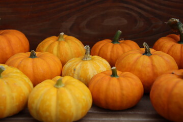 pumpkin assortment
